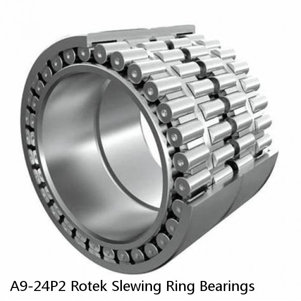 A9-24P2 Rotek Slewing Ring Bearings #1 image