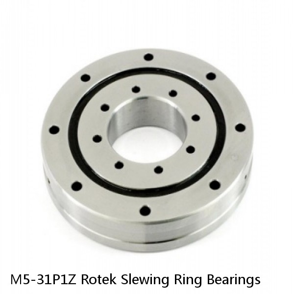 M5-31P1Z Rotek Slewing Ring Bearings #1 image