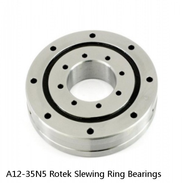 A12-35N5 Rotek Slewing Ring Bearings #1 image