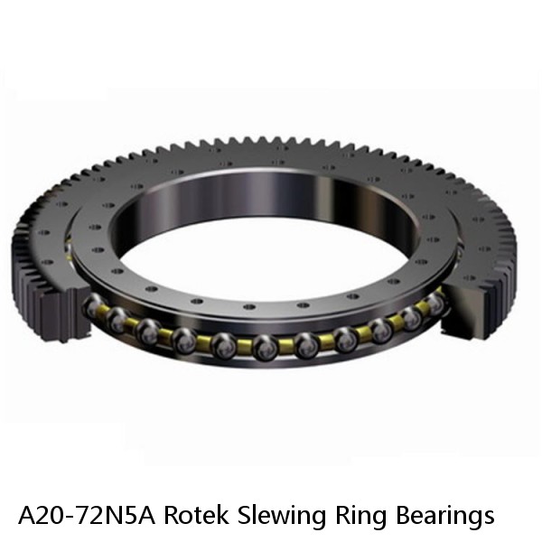 A20-72N5A Rotek Slewing Ring Bearings #1 image