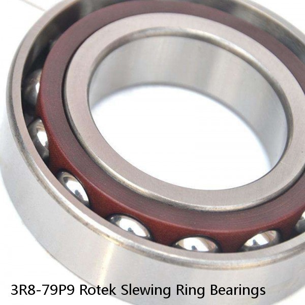 3R8-79P9 Rotek Slewing Ring Bearings #1 image