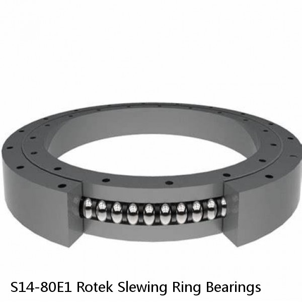 S14-80E1 Rotek Slewing Ring Bearings #1 image