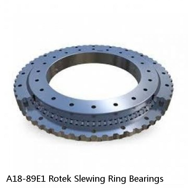 A18-89E1 Rotek Slewing Ring Bearings #1 image