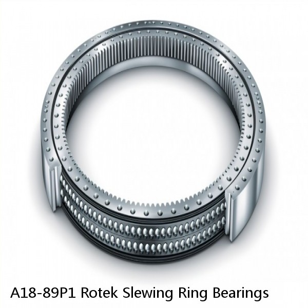 A18-89P1 Rotek Slewing Ring Bearings #1 image