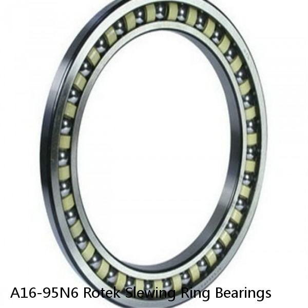 A16-95N6 Rotek Slewing Ring Bearings #1 image