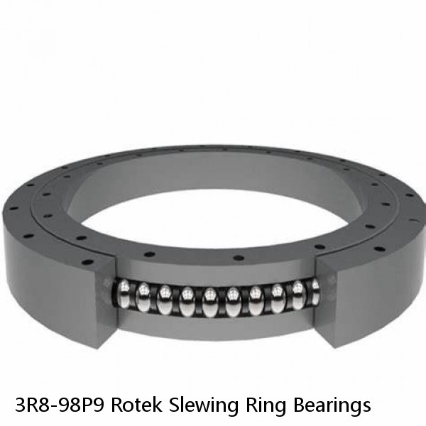 3R8-98P9 Rotek Slewing Ring Bearings #1 image