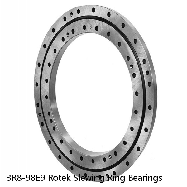 3R8-98E9 Rotek Slewing Ring Bearings #1 image