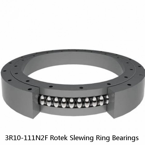 3R10-111N2F Rotek Slewing Ring Bearings #1 image