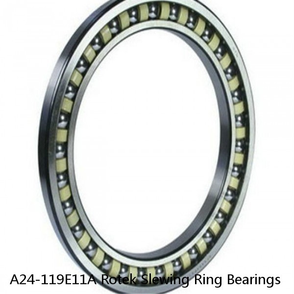 A24-119E11A Rotek Slewing Ring Bearings #1 image