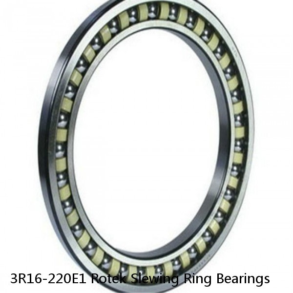 3R16-220E1 Rotek Slewing Ring Bearings #1 image