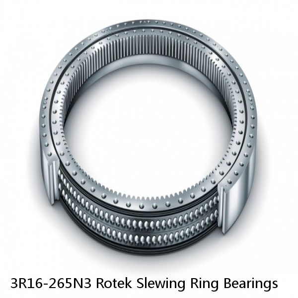 3R16-265N3 Rotek Slewing Ring Bearings #1 image