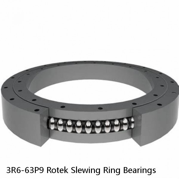 3R6-63P9 Rotek Slewing Ring Bearings #1 image