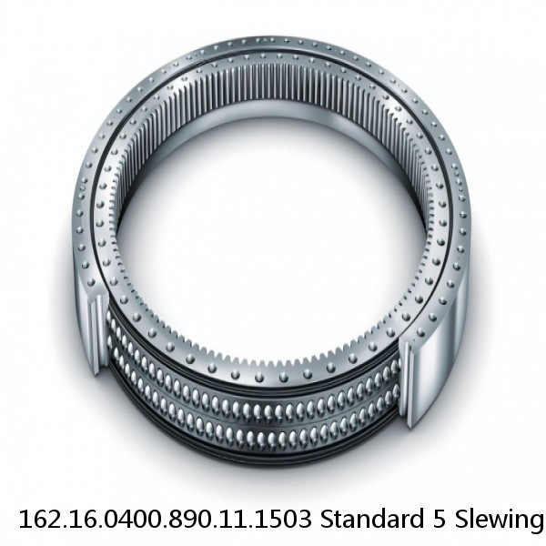 162.16.0400.890.11.1503 Standard 5 Slewing Ring Bearings #1 image