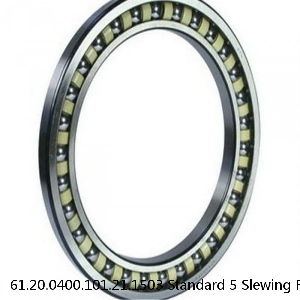 61.20.0400.101.21.1503 Standard 5 Slewing Ring Bearings #1 image