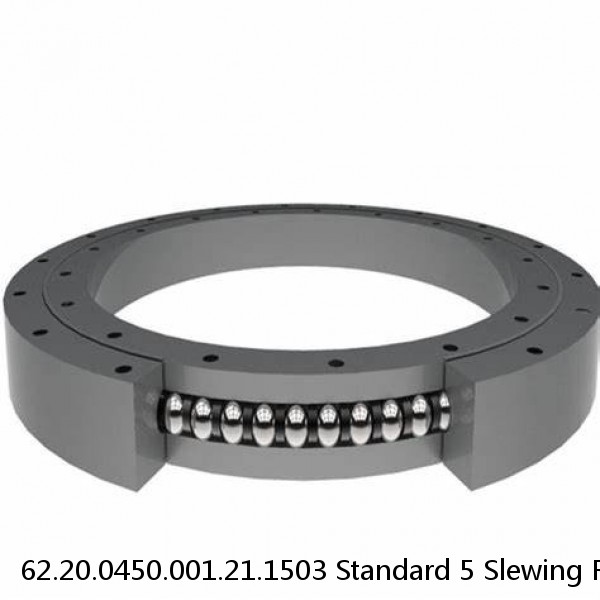 62.20.0450.001.21.1503 Standard 5 Slewing Ring Bearings #1 image