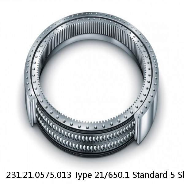 231.21.0575.013 Type 21/650.1 Standard 5 Slewing Ring Bearings #1 image