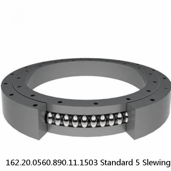 162.20.0560.890.11.1503 Standard 5 Slewing Ring Bearings #1 image