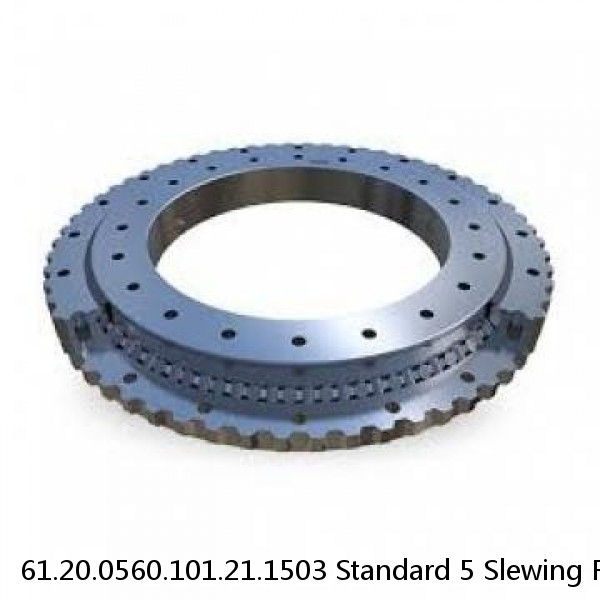 61.20.0560.101.21.1503 Standard 5 Slewing Ring Bearings #1 image