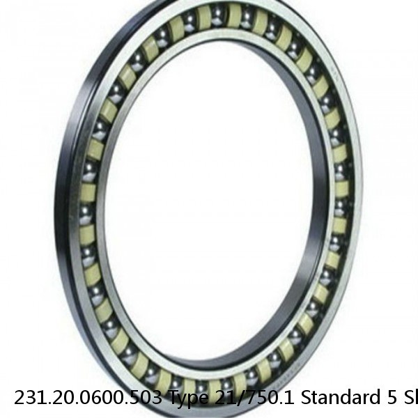 231.20.0600.503 Type 21/750.1 Standard 5 Slewing Ring Bearings #1 image