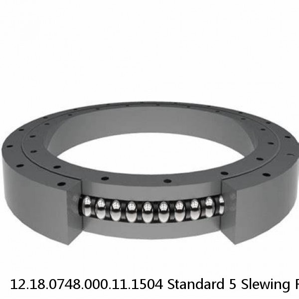 12.18.0748.000.11.1504 Standard 5 Slewing Ring Bearings #1 image