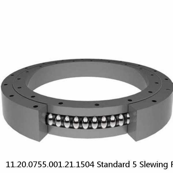 11.20.0755.001.21.1504 Standard 5 Slewing Ring Bearings #1 image