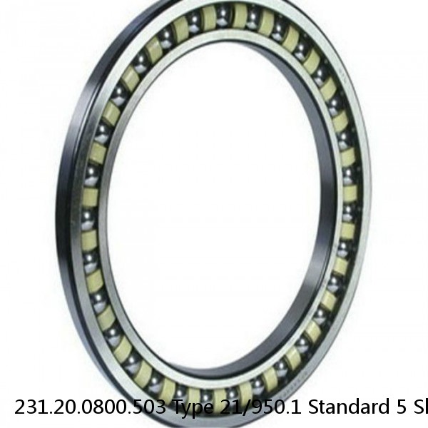 231.20.0800.503 Type 21/950.1 Standard 5 Slewing Ring Bearings #1 image