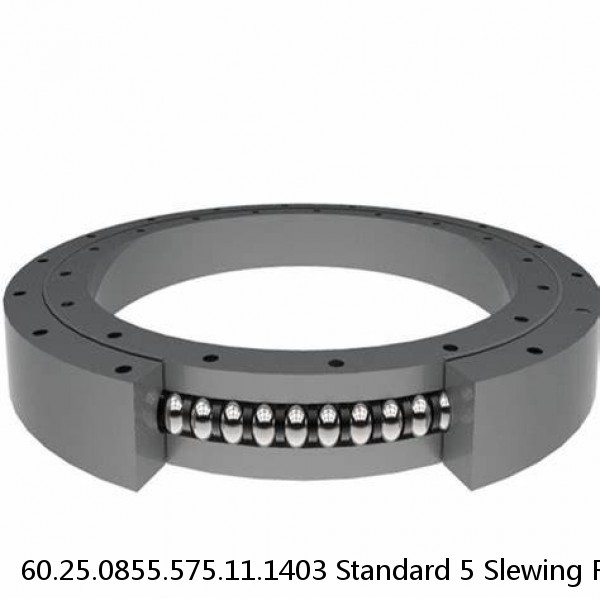 60.25.0855.575.11.1403 Standard 5 Slewing Ring Bearings #1 image