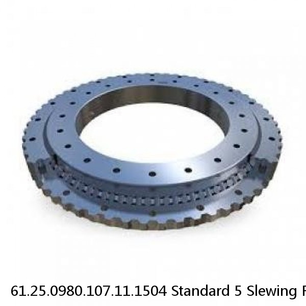 61.25.0980.107.11.1504 Standard 5 Slewing Ring Bearings #1 image