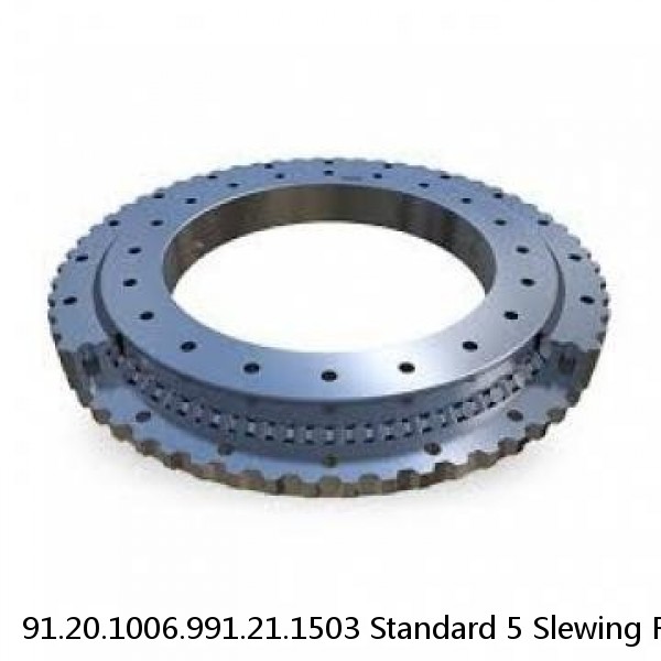 91.20.1006.991.21.1503 Standard 5 Slewing Ring Bearings #1 image