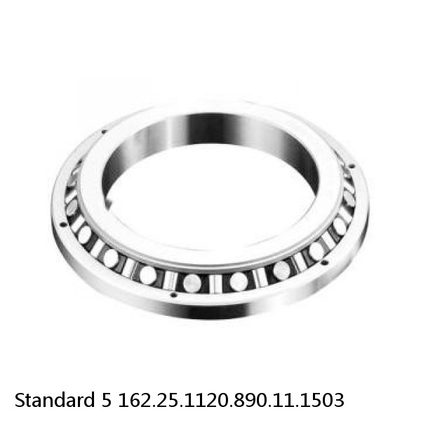 162.25.1120.890.11.1503 Standard 5 Slewing Ring Bearings #1 image