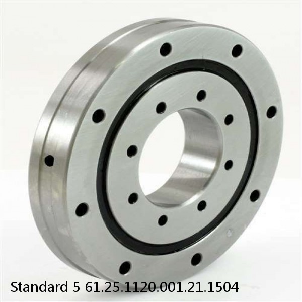 61.25.1120.001.21.1504 Standard 5 Slewing Ring Bearings #1 image