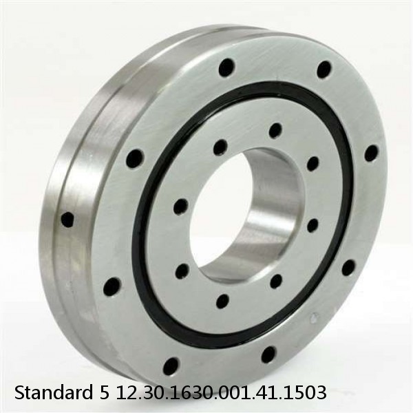 12.30.1630.001.41.1503 Standard 5 Slewing Ring Bearings #1 image