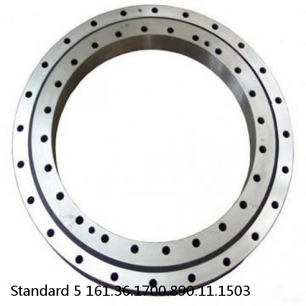 161.36.1700.890.11.1503 Standard 5 Slewing Ring Bearings #1 image