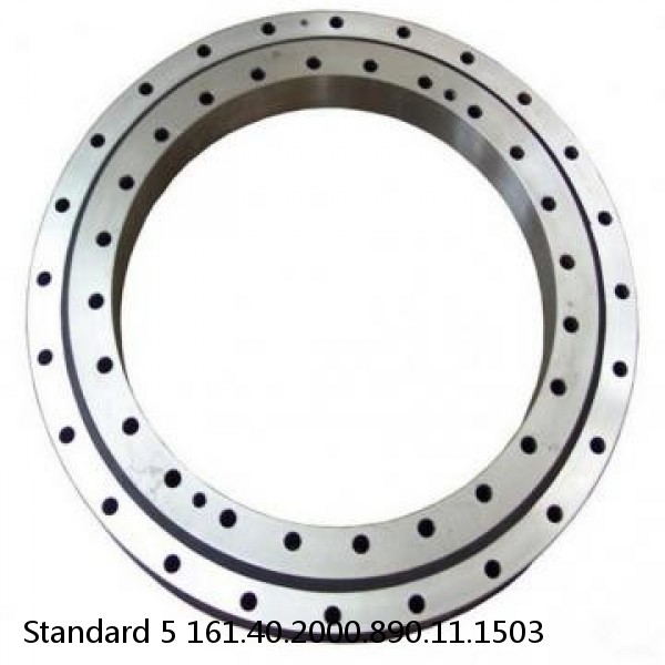 161.40.2000.890.11.1503 Standard 5 Slewing Ring Bearings #1 image