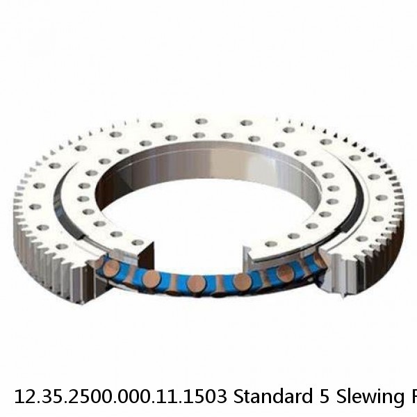 12.35.2500.000.11.1503 Standard 5 Slewing Ring Bearings #1 image