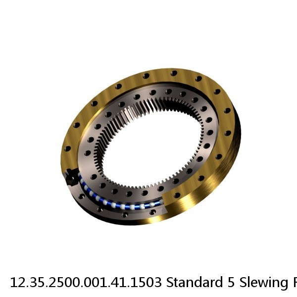 12.35.2500.001.41.1503 Standard 5 Slewing Ring Bearings #1 image