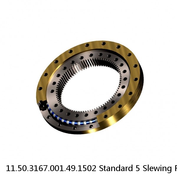 11.50.3167.001.49.1502 Standard 5 Slewing Ring Bearings #1 image