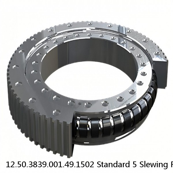 12.50.3839.001.49.1502 Standard 5 Slewing Ring Bearings #1 image