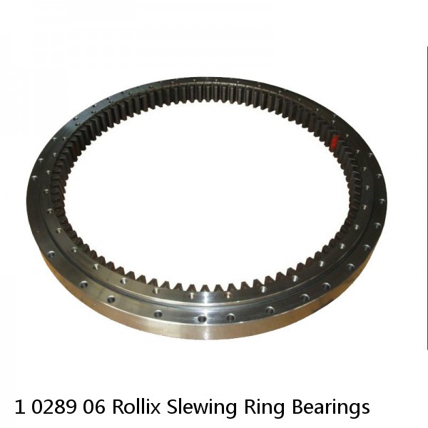 1 0289 06 Rollix Slewing Ring Bearings #1 image