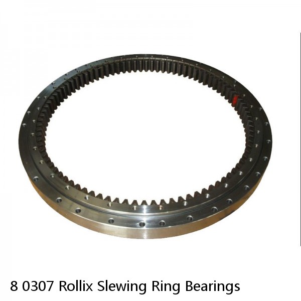 8 0307 Rollix Slewing Ring Bearings #1 image