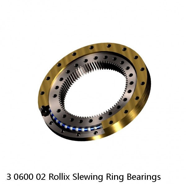 3 0600 02 Rollix Slewing Ring Bearings #1 image