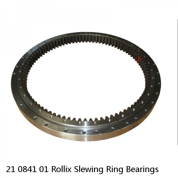 21 0841 01 Rollix Slewing Ring Bearings #1 image