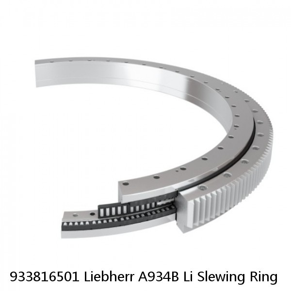 933816501 Liebherr A934B Li Slewing Ring #1 image