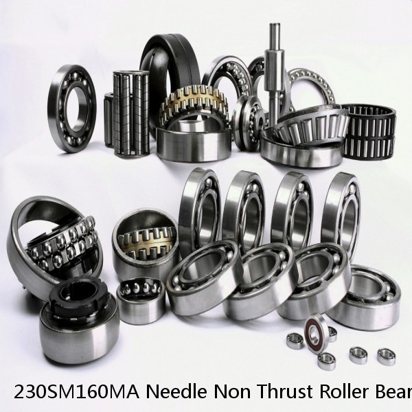 230SM160MA Needle Non Thrust Roller Bearings #1 image