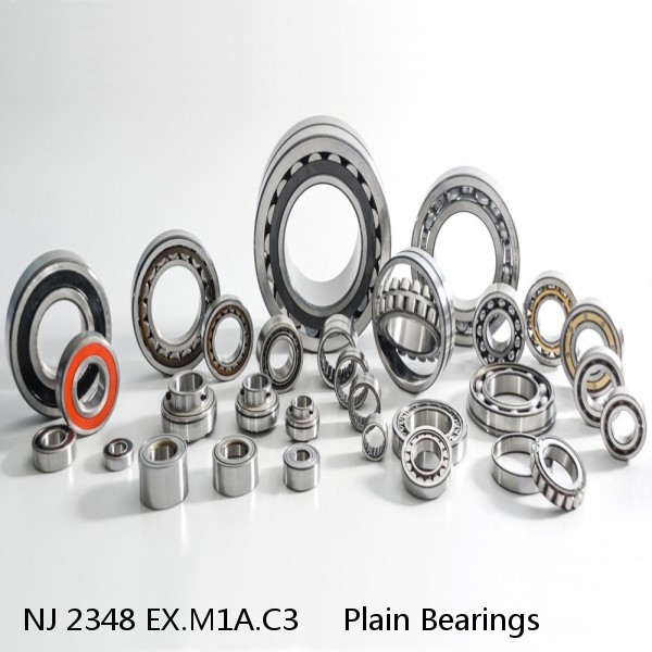 NJ 2348 EX.M1A.C3     Plain Bearings #1 image