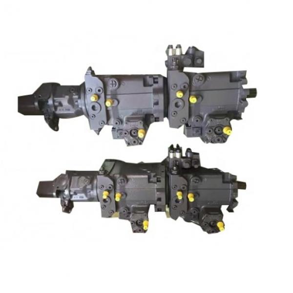 Application to Rexroth A10V (S) 016/18//28/45/71/100/140 Hydraulic Pump Spare Parts #1 image