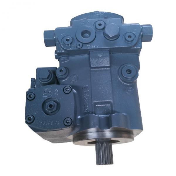 A8vo107 Rexroth Hydraulic Pump Parts #1 image